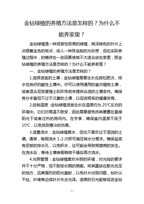 金钻绿植的养殖方法是怎样的？为什么不能养家里？