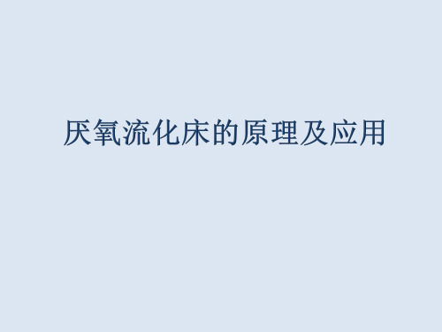 厌氧流化床