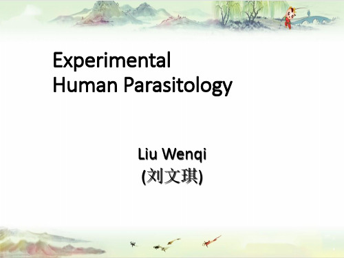 Lecture of Nematode——【人体寄生虫学】