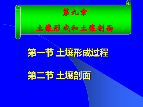 第九章 土壤形成过程及土壤剖面