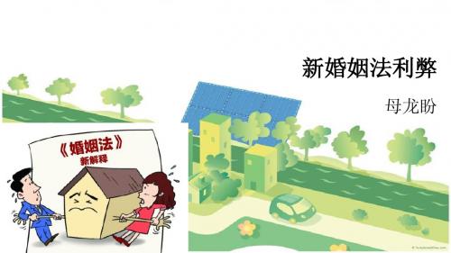 新婚姻法利弊