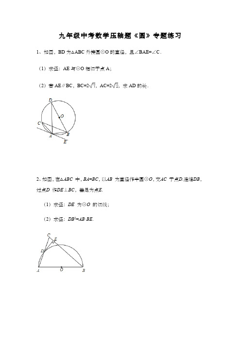 九年级中考数学压轴题《圆》专题练习