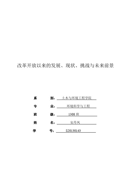 改革开放以来的发展、现状、挑战与未来前景