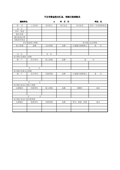 子公司资金收支汇总明细日报表格式