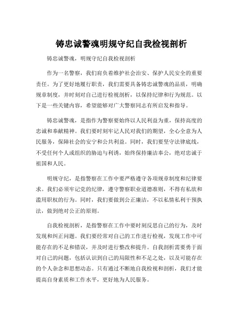 铸忠诚警魂明规守纪自我检视剖析