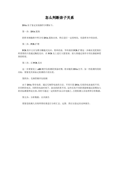 怎么判断亲子关系