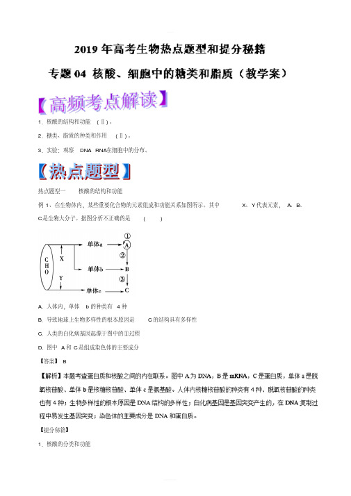 2019年高考生物热点题型和提分秘籍专题04核酸、细胞中的糖类和脂质(教学案)含解析