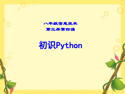 初中信息技术优质课件 初识Python【课件】