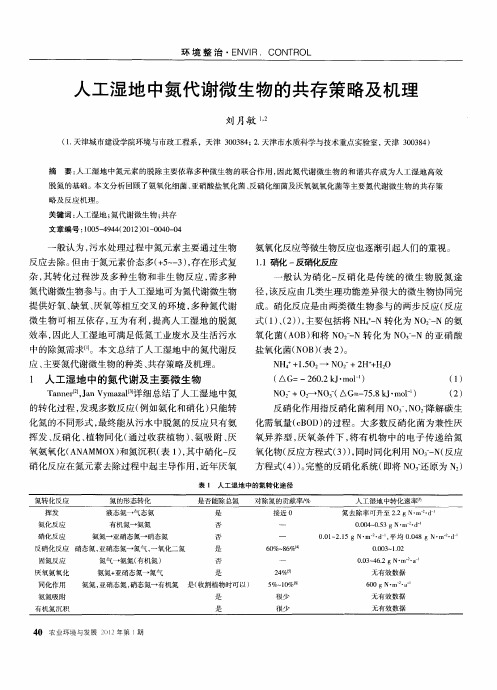 人工湿地中氮代谢微生物的共存策略及机理