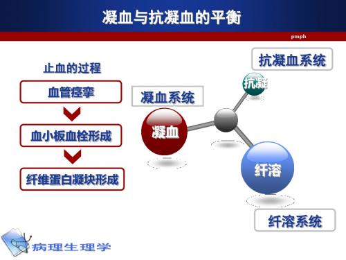 2019年凝血和抗凝血平衡紊乱的病理生理机制语文