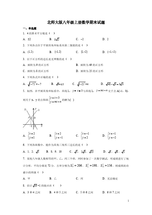 北师大版八年级上册数学期末试卷及答案