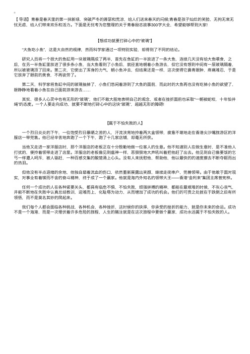 关于青春励志故事300字大全