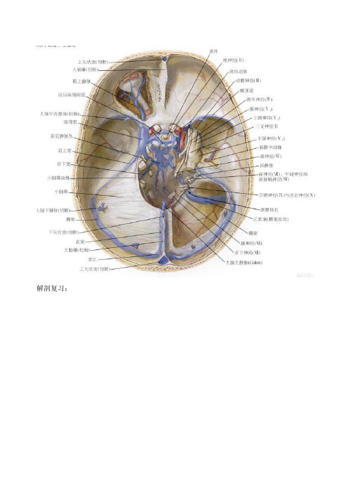 桥小脑角区肿瘤性病变的影像鉴别诊断