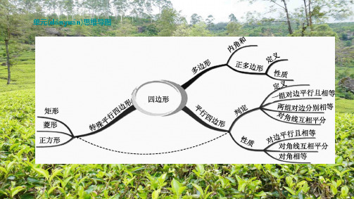 中考数学复习方案 第五单元 四边形 第23课时 多边形与平行四边形课件_2