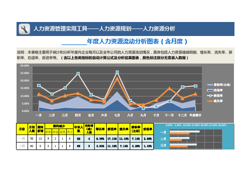 Excel表格模板：年度人力资源流动分析图表(含各月度)