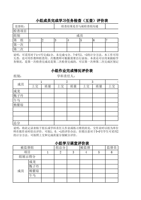 小组学习评价日常用表