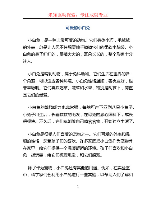 可爱的小白兔300字