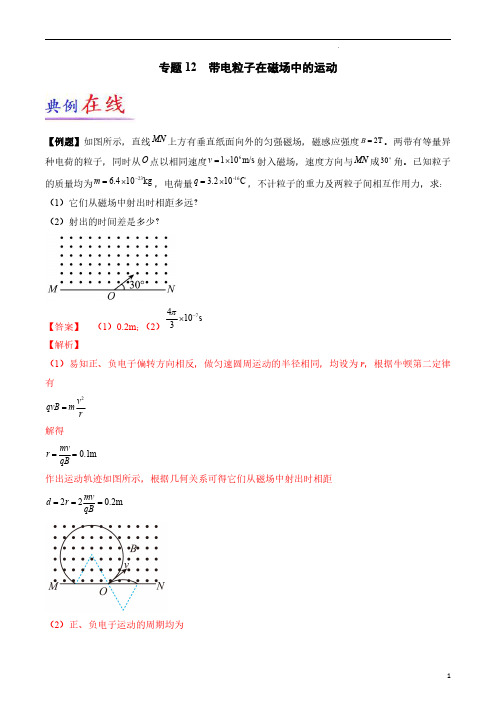 专题12 带电粒子在磁场中的运动-2023年高考物理大题限时集训(解析版)