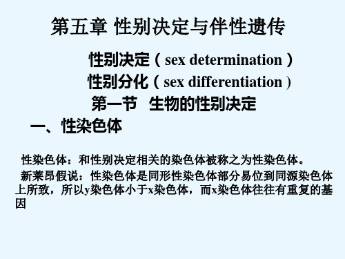 第六章 性别决定