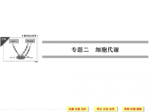 2014届高考二轮复习课件 第4讲