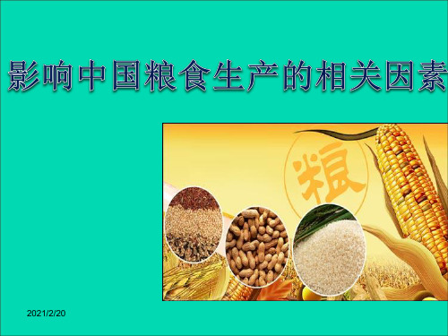 中国粮食生产的计量经济学相关函数精品PPT课件