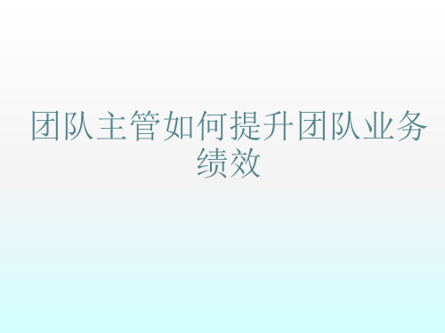 保险行业的团队管理艺术ppt课件