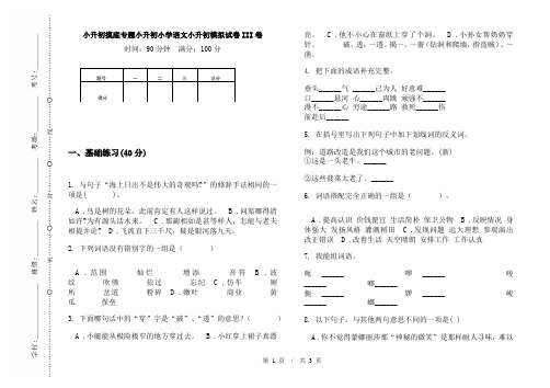 小升初摸底专题小升初小学语文小升初模拟试卷III卷