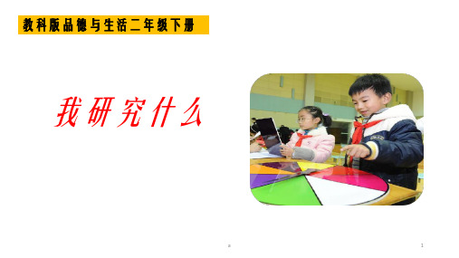 教科版小学品德与生活二年级下册《我研究什么》