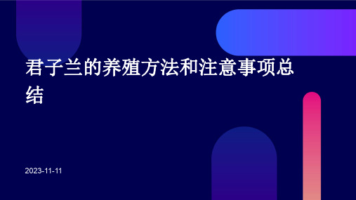 君子兰的养殖方法和注意事项总结