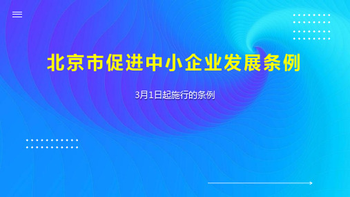 北京市促进中小企业发展条例