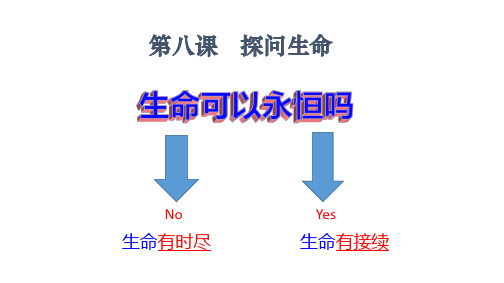 人教版道德与法治七年级上册 8.1 生命可以永恒吗 课件(共16张PPT)