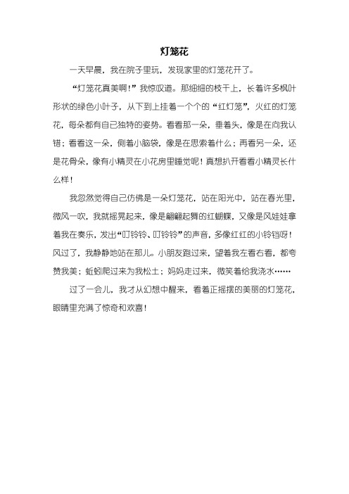 三年级作文:灯笼花作文350字
