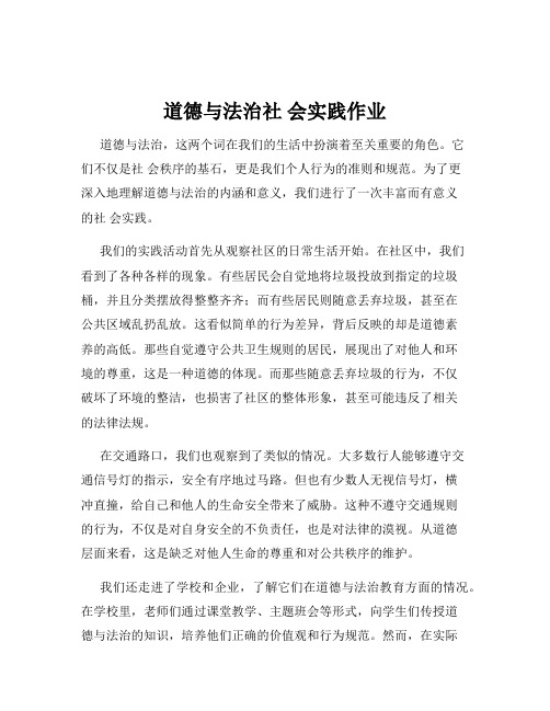 道德与法治社 会实践作业