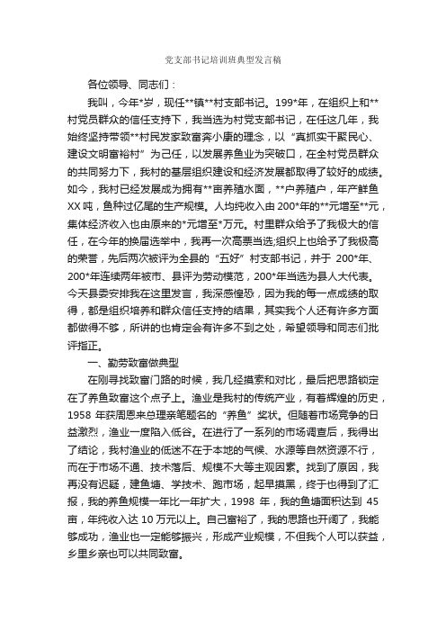 党支部书记培训班典型发言稿_发言稿_