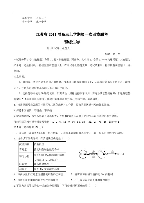 江苏省2011届高三上学期第一次四校联考(理综生物)