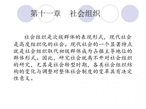 社会学第十章    社会组织