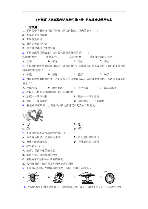 (完整版)人教部编版八年级生物上册 期末模拟试卷及答案