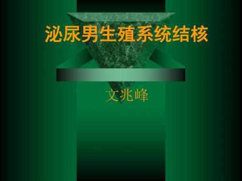 泌尿男生殖系统结核