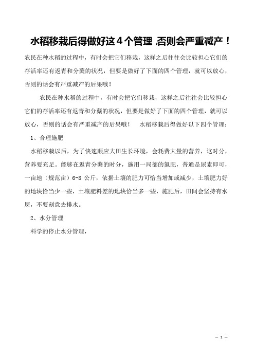 水稻移栽后得做好这4个管理,否则会严重减产!