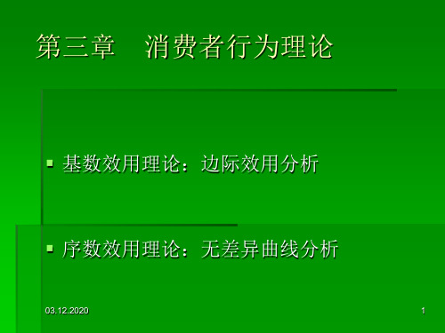 第三章消费者行为理论PPT课件