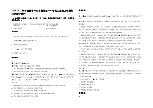 2021-2022学年安徽省阜阳市蒙城第一中学高二生物上学期期末试题含解析