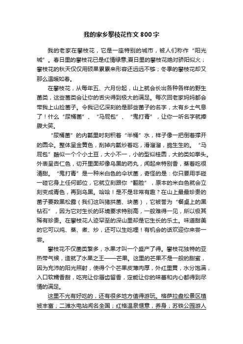 我的家乡攀枝花作文800字