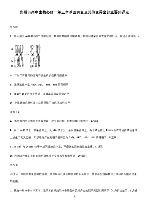 郑州市高中生物必修二第五章基因突变及其他变异全部重要知识点