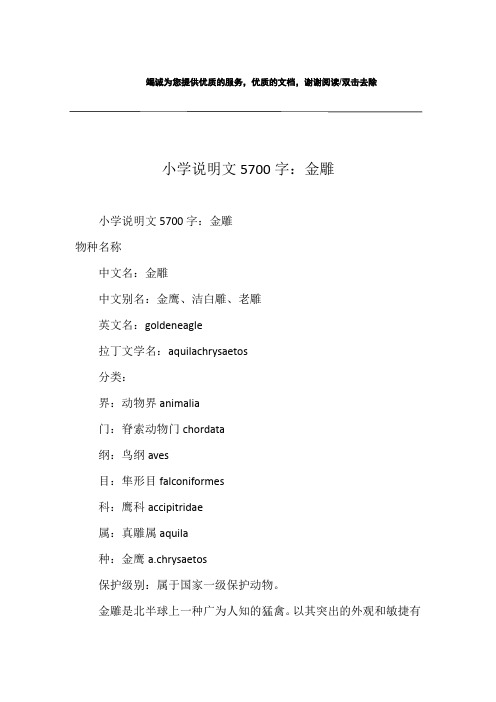 小学说明文5700字：金雕