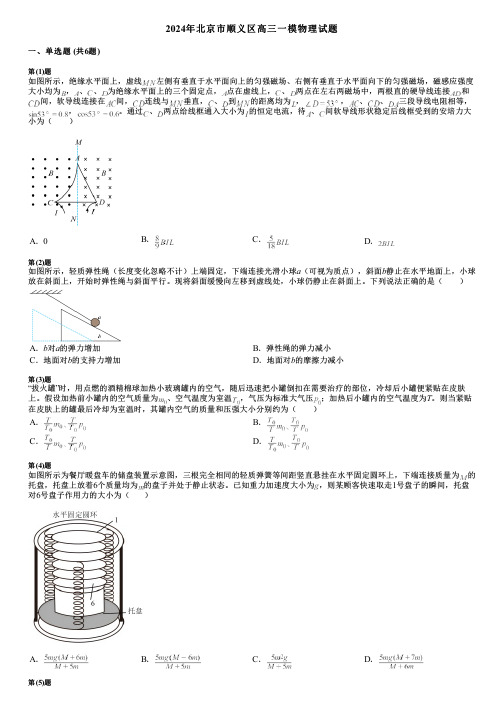 2024年北京市顺义区高三一模物理试题