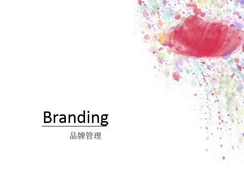 BRANDING品牌管理