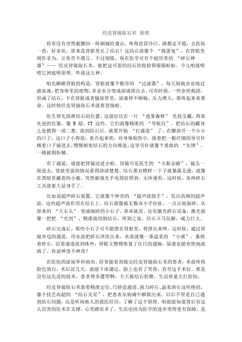 经皮肾镜取石术 原理