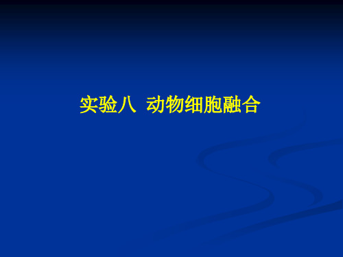 实验八动物细胞融合