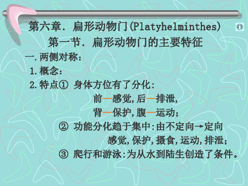 第六章.扁形动物门(Platyhelminthes) 动物学 教学课件