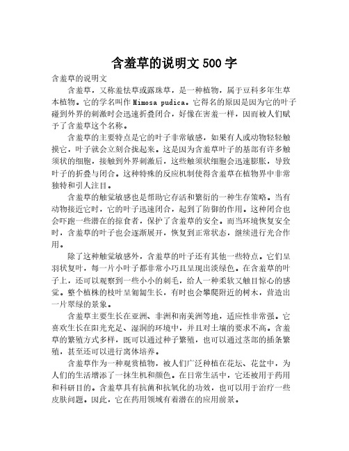 含羞草的说明文500字